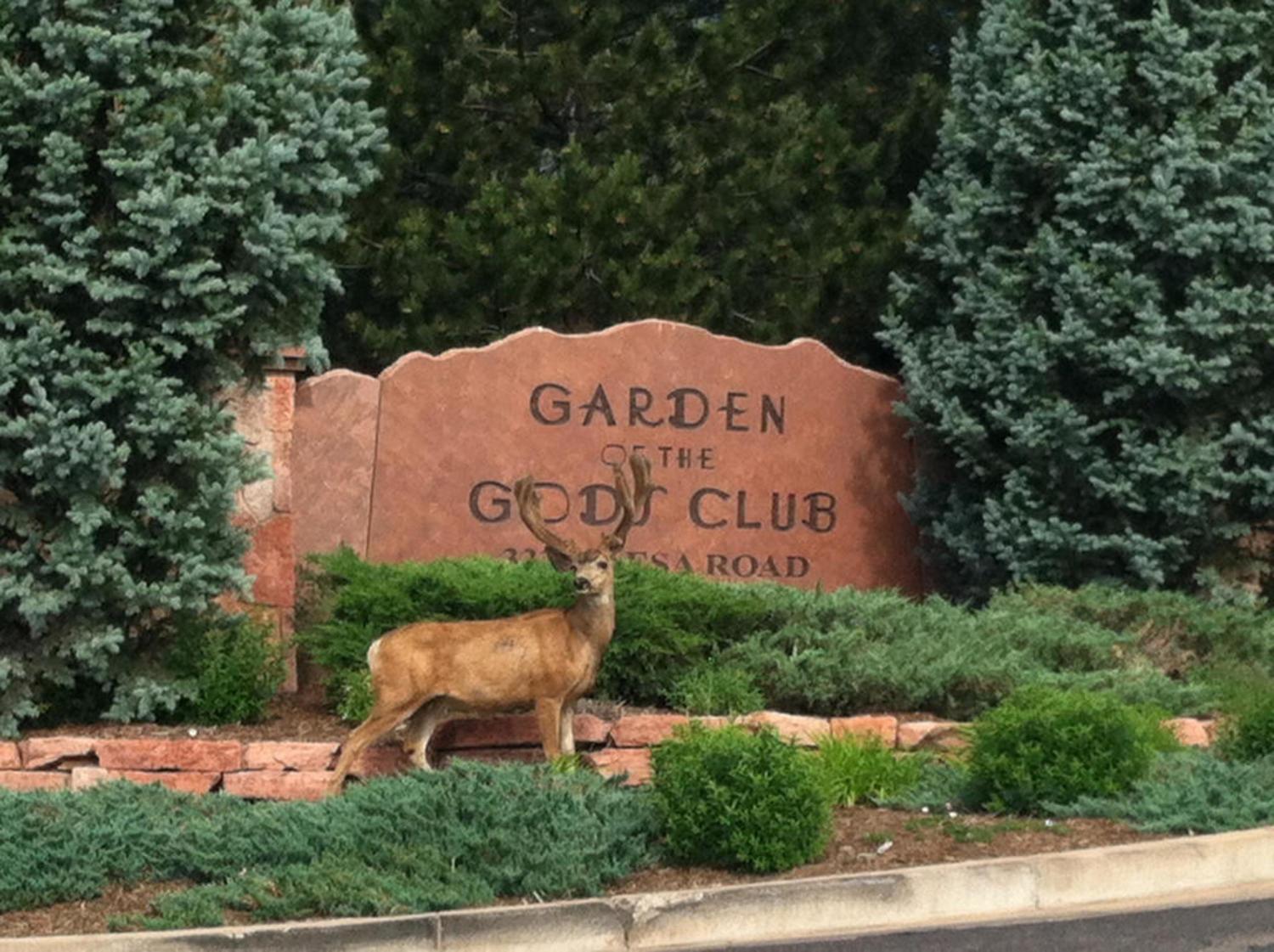 Garden Of The Gods Resort & Club Colorado Springs Exterior foto